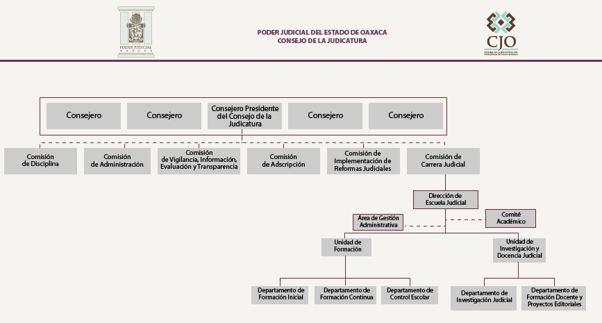 Estructura Orgánica